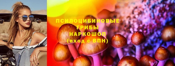 спайс Алзамай