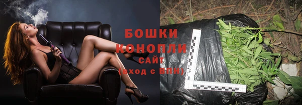 PSILOCYBIN Алексеевка