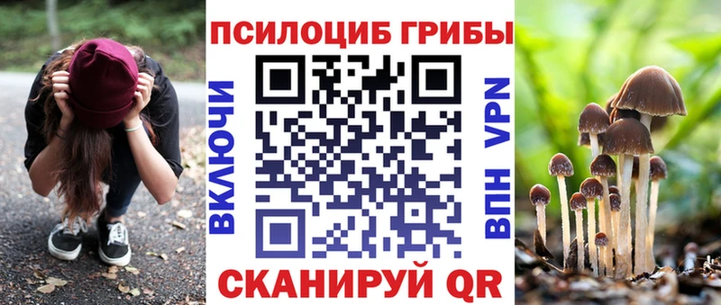 OMG вход Сольцы Псилоцибиновые грибы прущие грибы